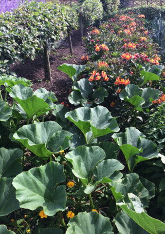 chateau_potager_letroncq